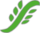 Delphi die green.png